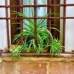 Corduba Διαμέρισμα Κόρδοβα