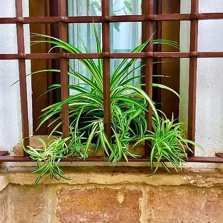 Corduba Apartmán Córdoba