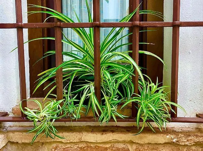 Corduba Appartement Córdoba